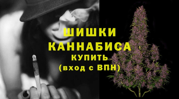 MESCALINE Аркадак