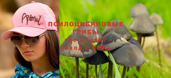 метадон Вяземский