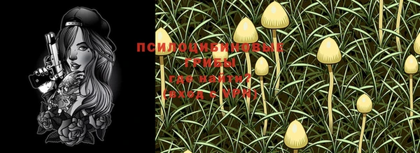 MESCALINE Аркадак