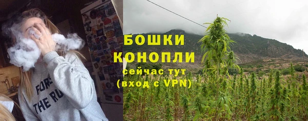MESCALINE Аркадак
