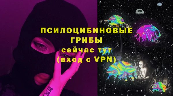 стафф Армянск