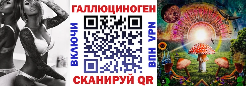 Псилоцибиновые грибы GOLDEN TEACHER  где купить наркотик  Приморск 